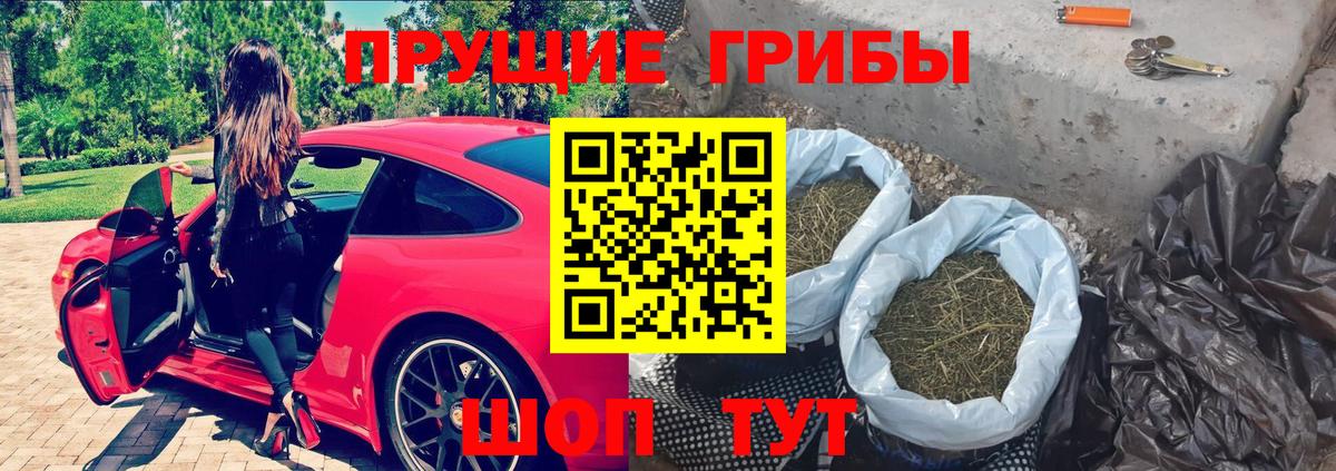 Галлюциногенные грибы мицелий Камень-на-Оби