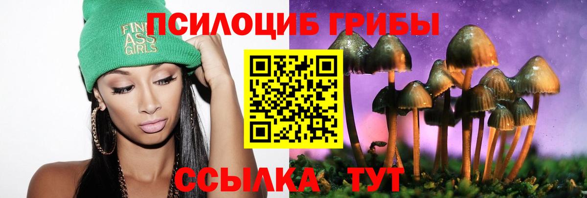 Камень-на-Оби  Псилоцибиновые грибы прущие грибы  закладка  Галлюциногенные грибы прущие грибы  Вход с VPN 